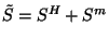 $\tilde{S}=S^H+S^m$